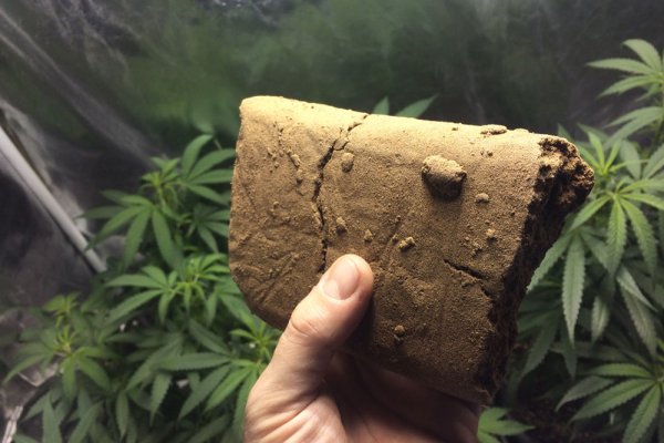 Почему не работает кракен